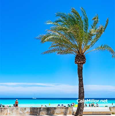 cala millor meer blick